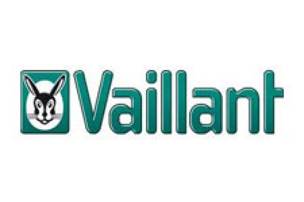 vaillant44a5545f-d3d0-31e6-698f-ca60946a6c90AB42792E-E961-C7C6-6423-485BD9F236EB.jpg
